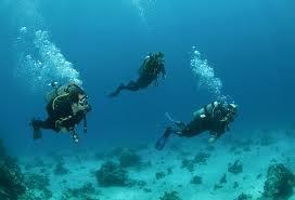Scuba diving in Goa