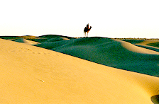 Jaisalmer City Descriptions