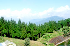 Kolkata, Kalimpong City Tour Packages