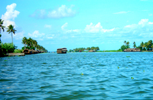 Kumarakom City Descriptions