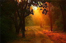 Bandhavgarh, City Descriptions of Bandhavgarh