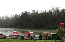 Ooty City Descriptions