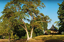 Banjaar Tola, A Taj Safari, Kanha Hotels Bookings